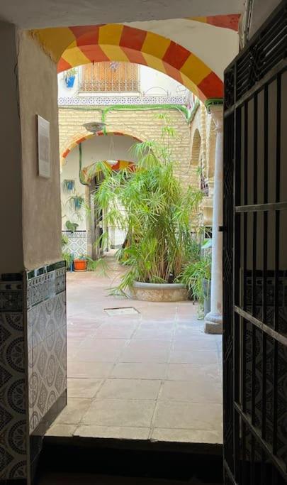Patio De La Corredera Διαμέρισμα Κόρδοβα Εξωτερικό φωτογραφία