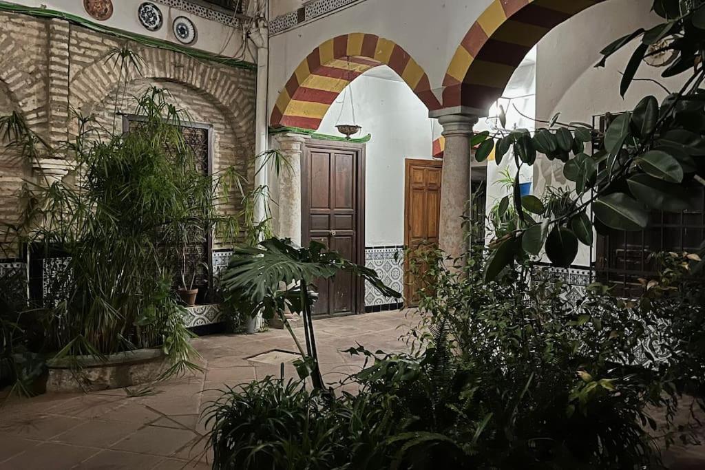 Patio De La Corredera Διαμέρισμα Κόρδοβα Εξωτερικό φωτογραφία