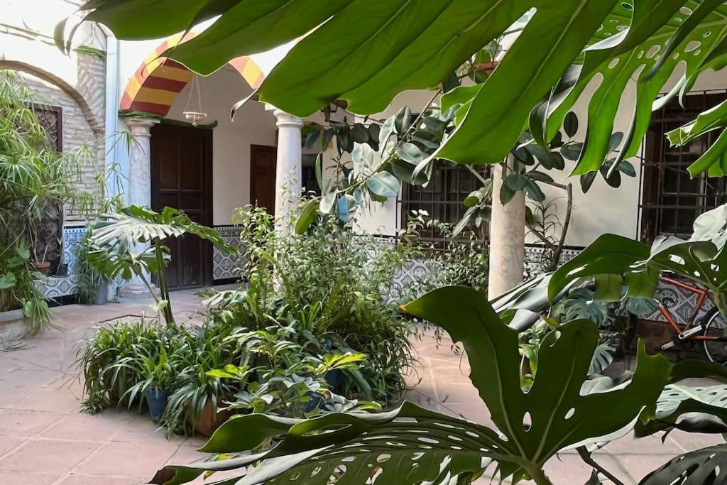 Patio De La Corredera Διαμέρισμα Κόρδοβα Εξωτερικό φωτογραφία