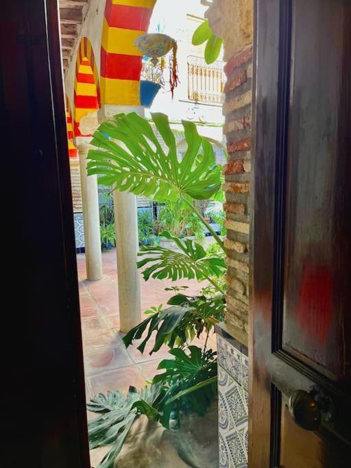 Patio De La Corredera Διαμέρισμα Κόρδοβα Εξωτερικό φωτογραφία