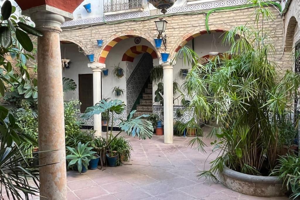 Patio De La Corredera Διαμέρισμα Κόρδοβα Εξωτερικό φωτογραφία